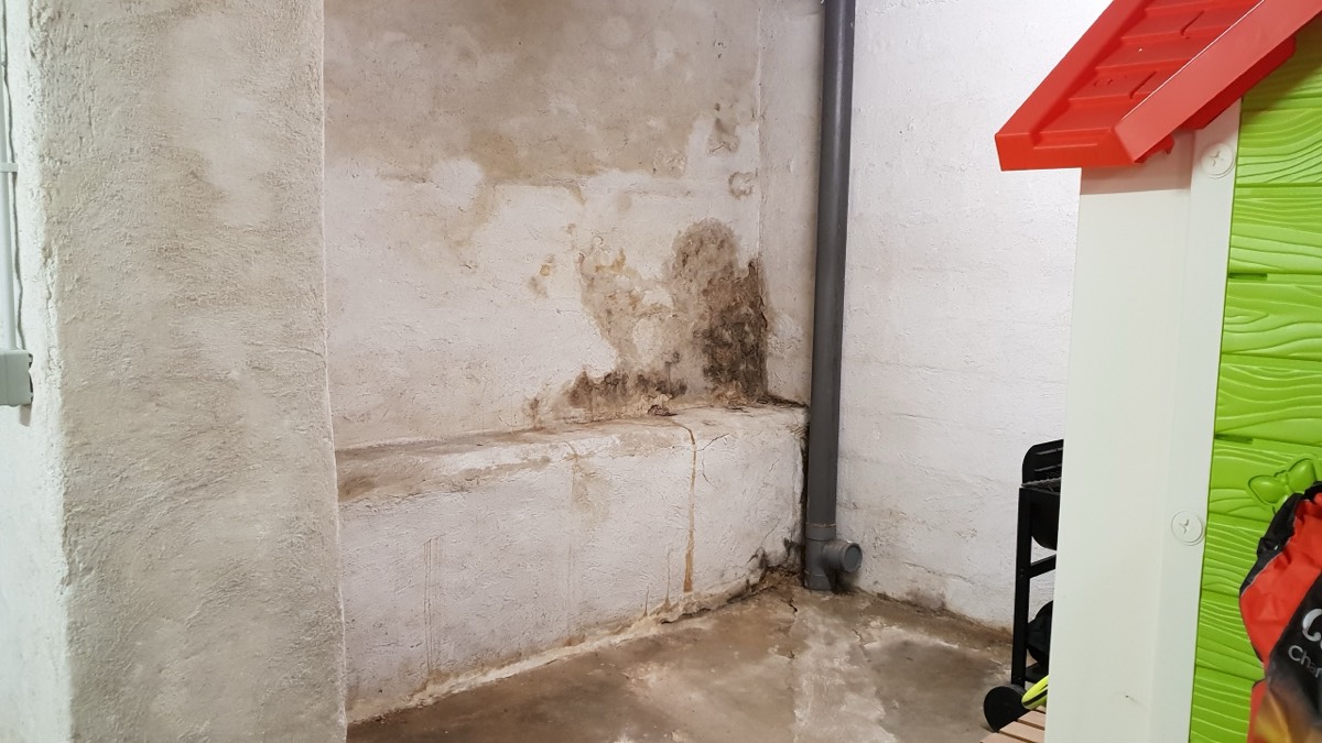 Infiltrations d'eau - Expertise humidité à Rennes